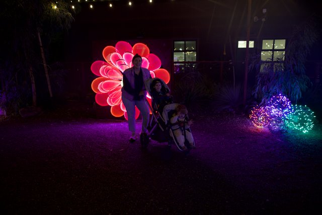 Enchanted Evening at the Garden of D’Lights