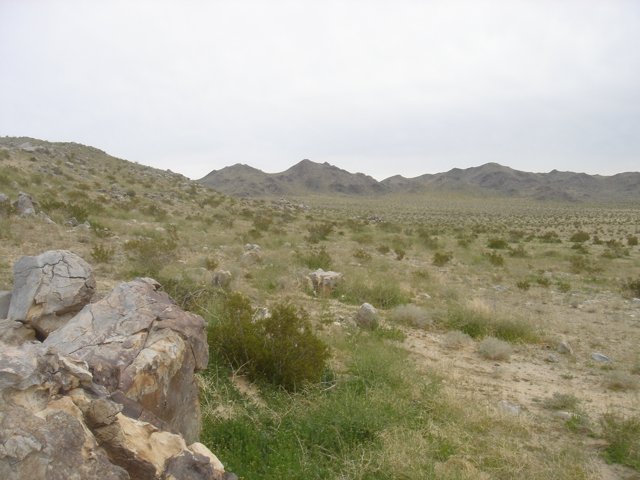 A Serene View of the Desert Landscape