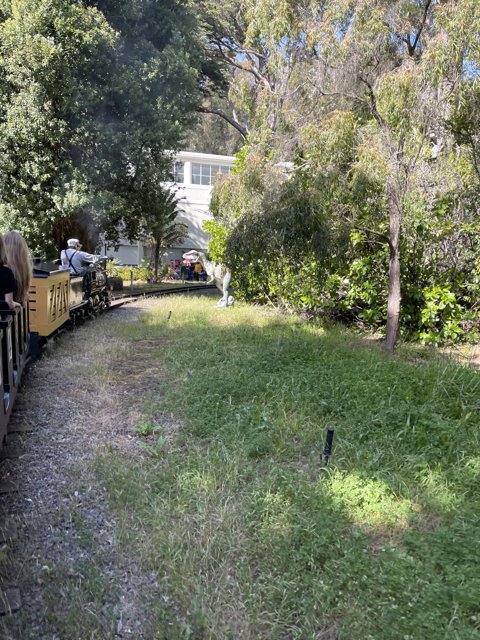 Train Ride through Woodland Grove at San Francisco Zoo