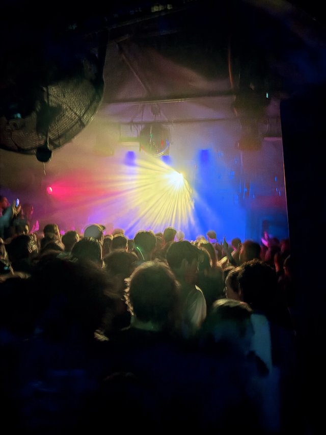 Crowd Immersed in Vibrant Light Show at Concert