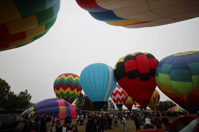 Colorful Hot Air Balloons Fill the Sky at Festival