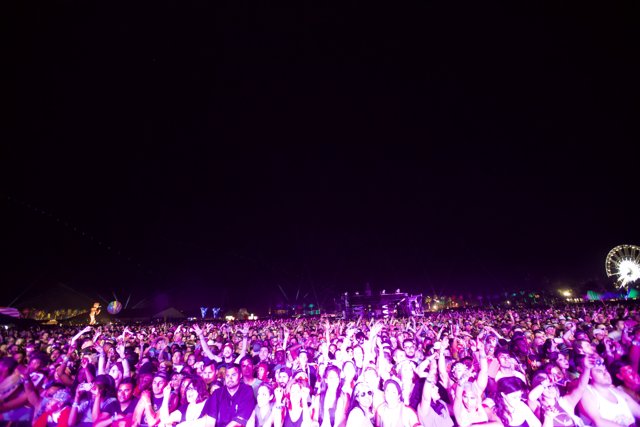 Midnight Crowd at Coachella