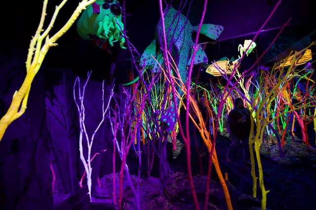Neon Forest: Immersive Art Installation with Glowing Trees