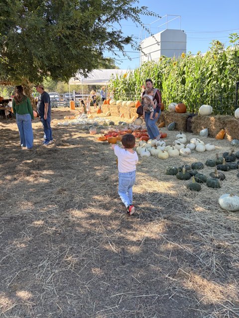 Autumn Adventure in Santa Rosa