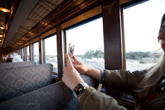 Capturing Moments on a Luxury Safari Train Journey
