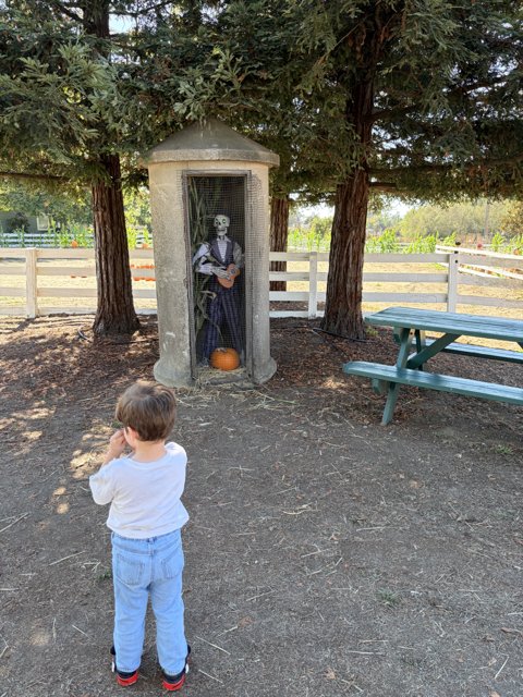 Curious Encounters in the Pumpkin Patch
