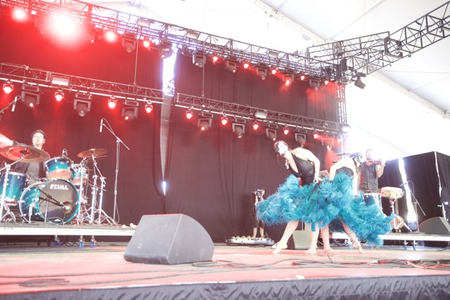 Blue Feathers Dance