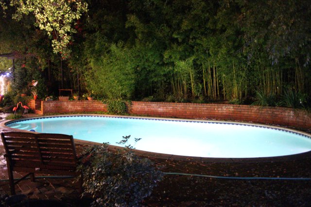 Resort-style Backyard Pool