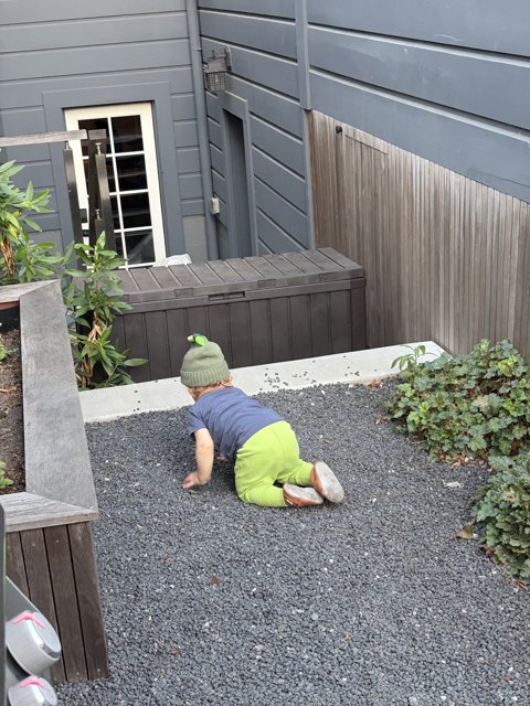 Exploring the Urban Jungle