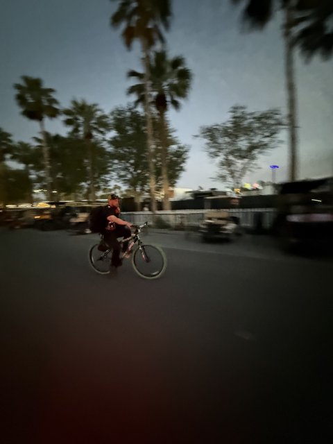 Twilight Ride