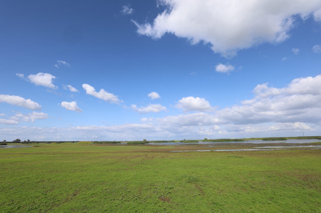 Wetlands Expanse with Flooded Fields Under Spring Sky