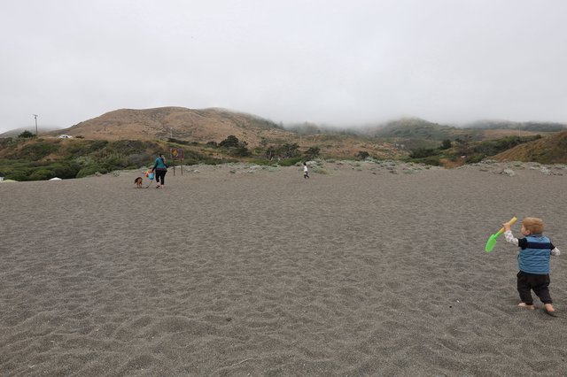 Toddler Plays on Foggy California Coastal Beach