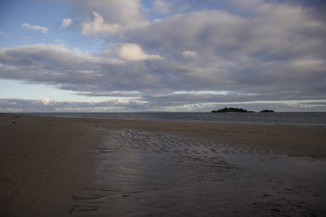 Serenity on the Sandy Shoreline
