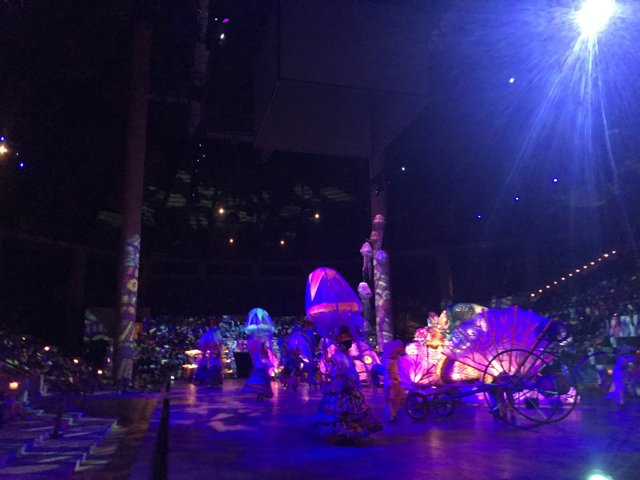 Enchanting Circus at Disneyland