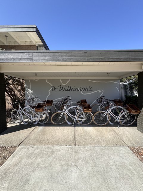 Bikes Ready for Adventure