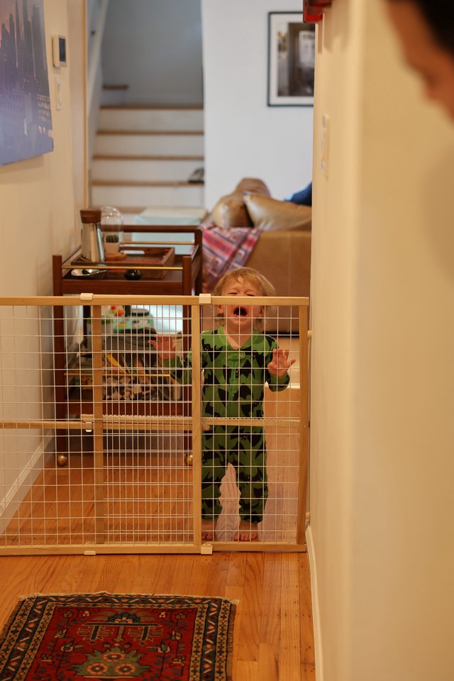 Toddler Behind Safety Gate at Home