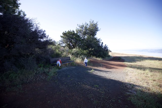 Hikers Exploring a Sunlit Trail at Mount Diablo