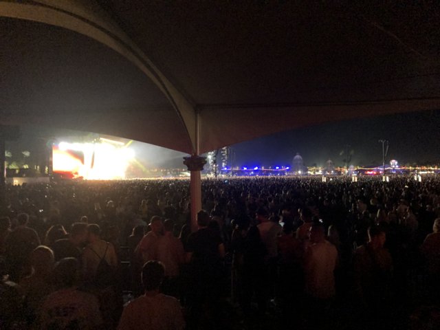 Electric Night: The Concert Crowd