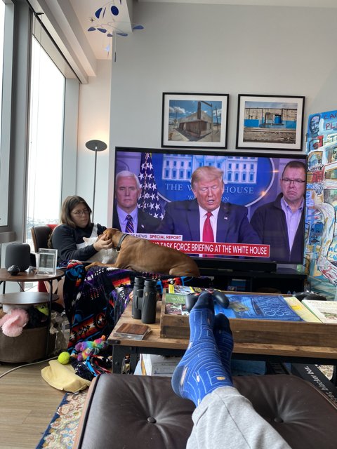 Presidential Television Viewing