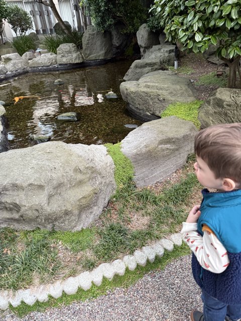 Curious Glimpse by the Pond