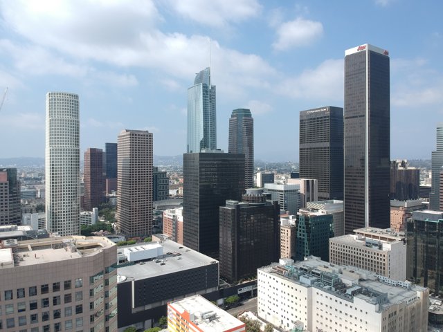 A Bird's Eye View of LA