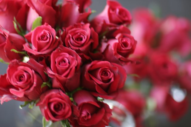 A Bouquet of Love