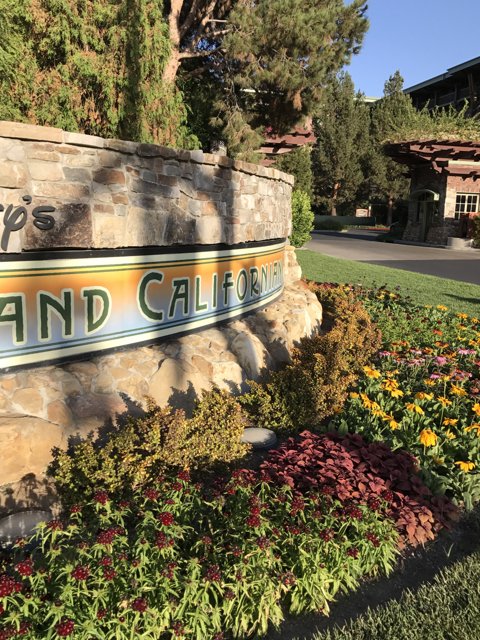The Grand California Resort Entrance