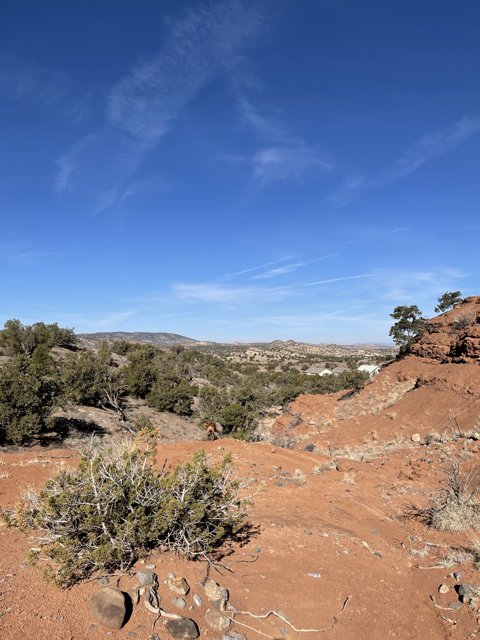Red Rocks and Desert Landscape
