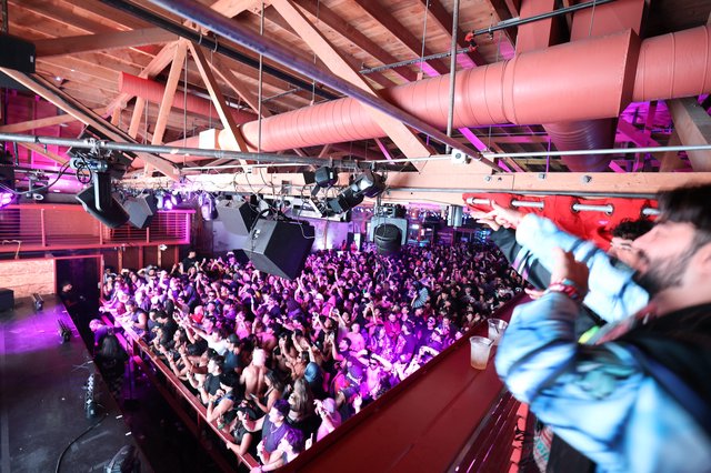 Packed Crowd Erupts at Wobbleland 2026 Festival