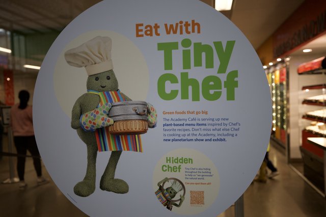 Tiny Chef Educational Display at Academy Museum