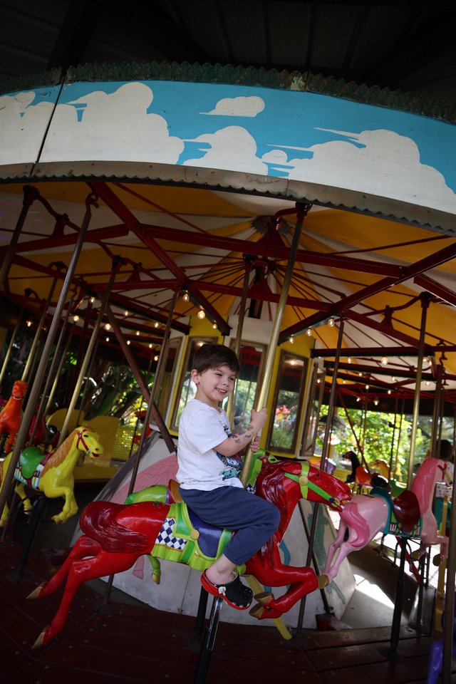Child Riding Colorful Carousel Dragon at Fantasyland