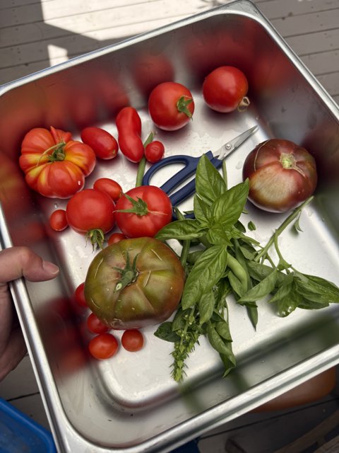 Garden Fresh Harvest