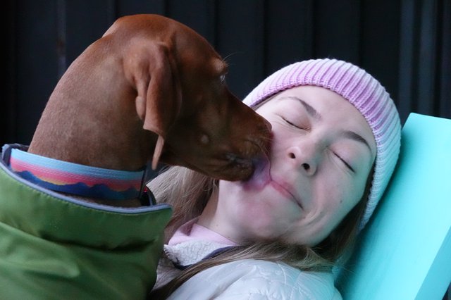 Gentle Dog Kiss Brings Comfort and Joy