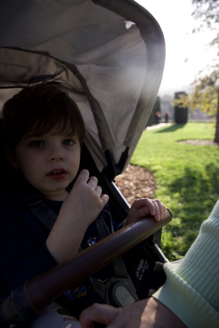 Curious Moments at Thistlewyck