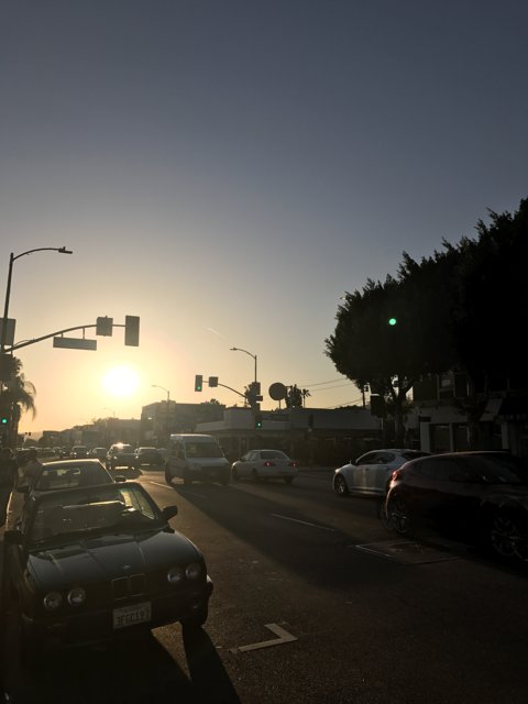 Sunset Drive in LA