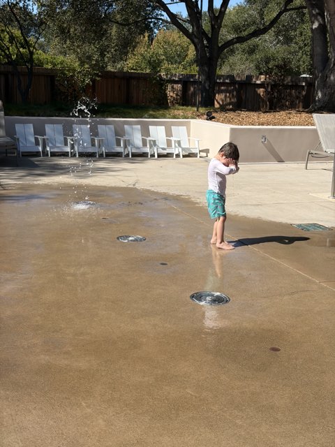 Splash of Joy