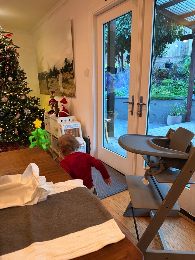 Toddler Watching Outside Through Glass Doors on Christmas