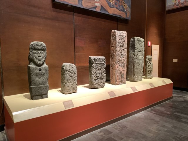 The Stone Garden of the Museum