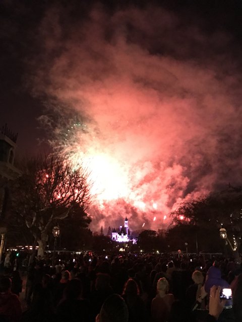 The Magic of Disney Fireworks