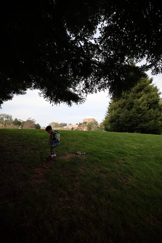 Child Exploring Park Under Overcast Sky