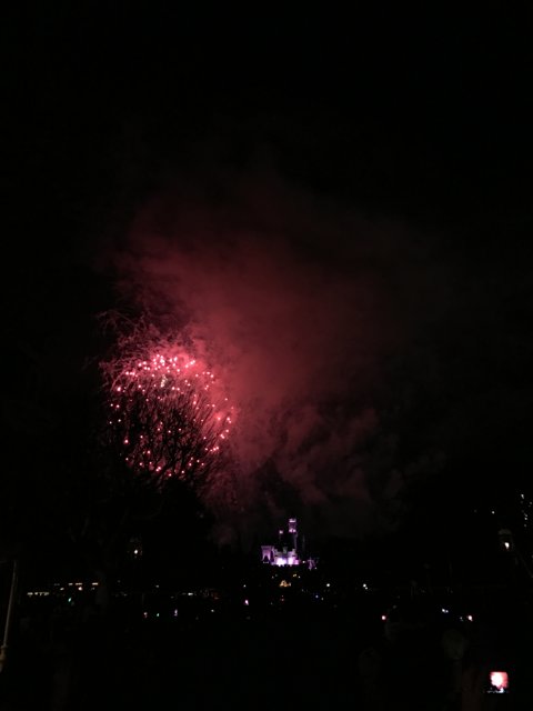 Spectacular Fireworks Show at Disneyland Park