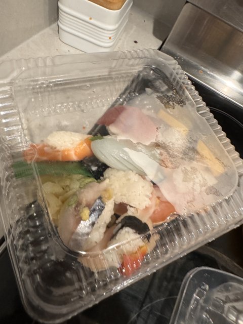 Sushi Box Surprise