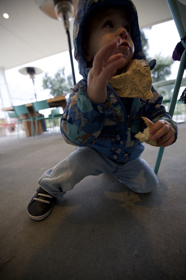 Toddler in Blue Patterned Jacket Reaches Upward