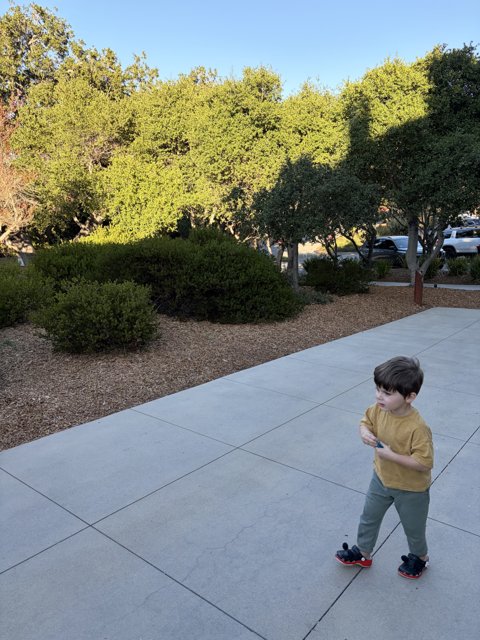 Stroll Through Carmel's Serenity