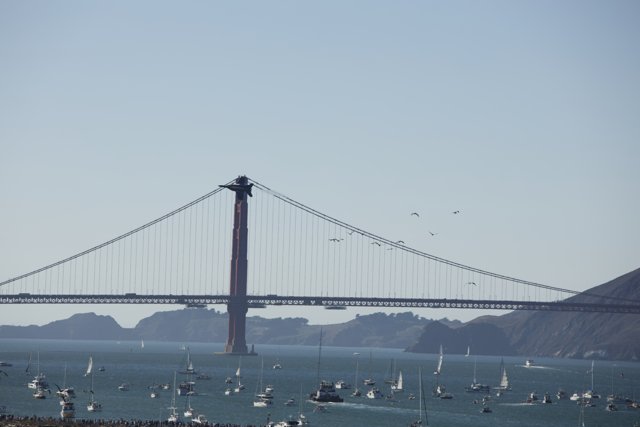 Breathtaking Bridges at Fleet Week Air Show, 2023