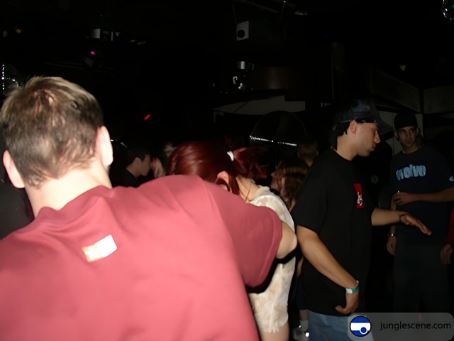Nightclub Crowd Watching the Dance Floor