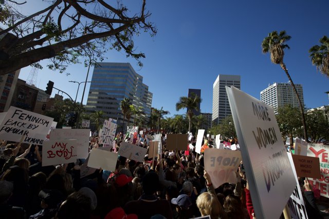 Women's Protest in Los Angeles