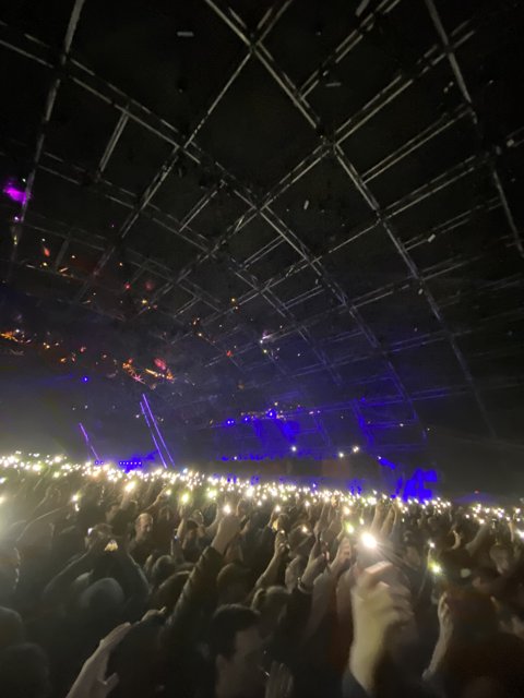 Lights, Phones, Action at Winchester Concert