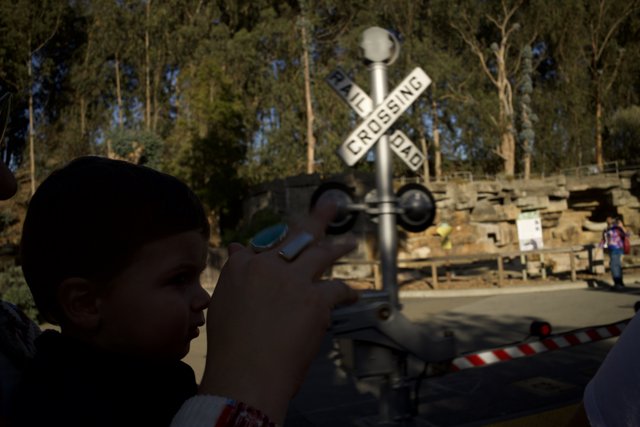 Curiosity at the Railroad Crossing