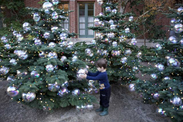 Enchanted Christmas at Thistlewyck